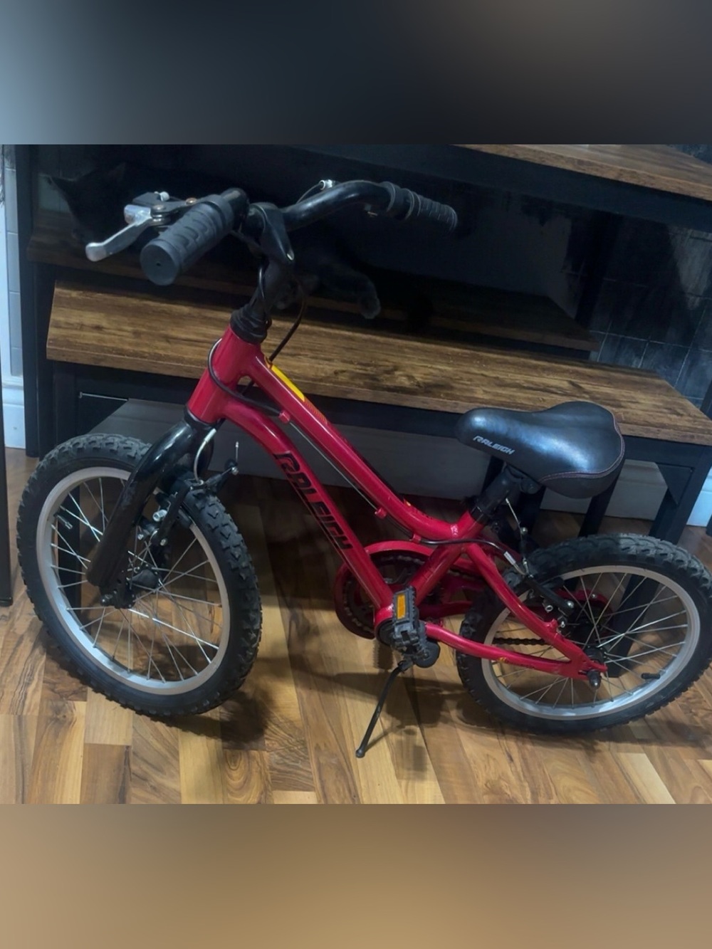 Dark pink 16” Raleigh Bike